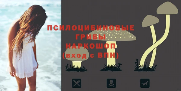 spice Волосово