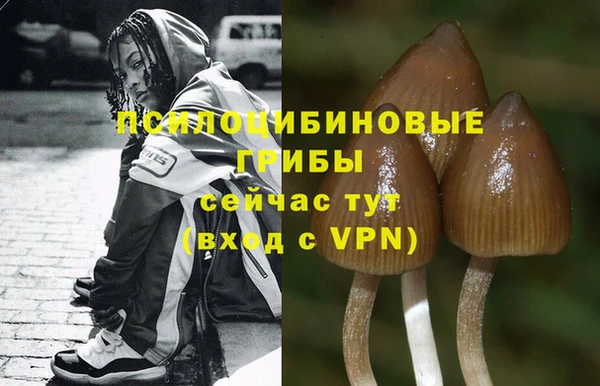 spice Волосово