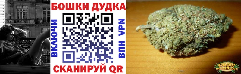 блэк спрут зеркало  Волхов  Бошки марихуана ГИДРОПОН 